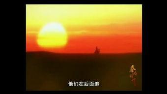 于时语视频,探寻其背后的故事与启示