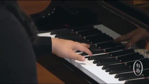 钢琴初学入门视频,入门视频精华解析