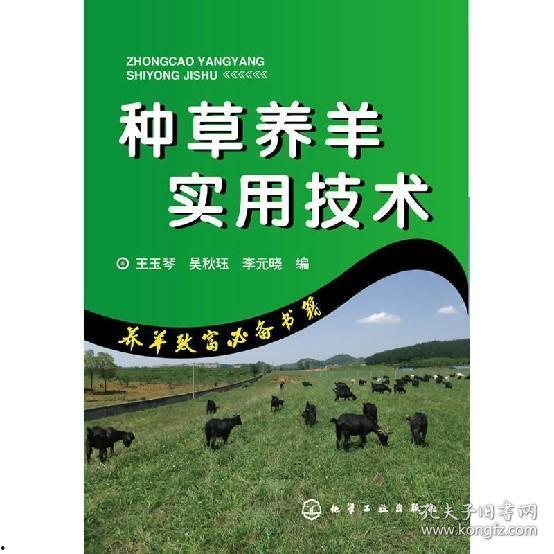 种草养羊视频,绿色生态养殖新风尚