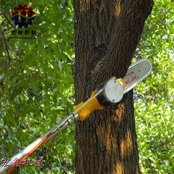 高枝锯安装视频,轻松掌握安全高效的操作方法